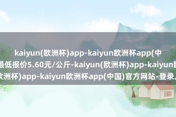 kaiyun(欧洲杯)app-kaiyun欧洲杯app(中国)官方网站-登录入口最低报价5.60元/公斤-kaiyun(欧洲杯)app-kaiyun欧洲杯app(中国)官方网站-登录入口