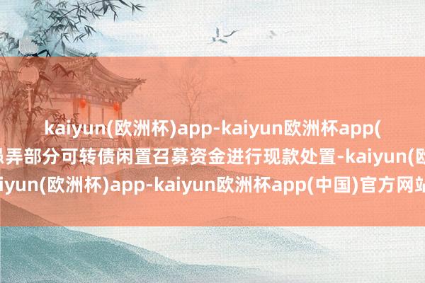 kaiyun(欧洲杯)app-kaiyun欧洲杯app(中国)官方网站-登录入口愚弄部分可转债闲置召募资金进行现款处置-kaiyun(欧洲杯)app-kaiyun欧洲杯app(中国)官方网站-登录入口