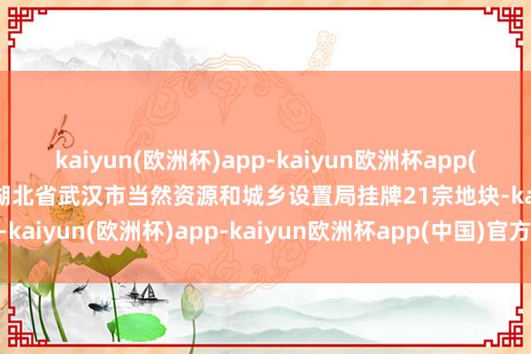 kaiyun(欧洲杯)app-kaiyun欧洲杯app(中国)官方网站-登录入口湖北省武汉市当然资源和城乡设置局挂牌21宗地块-kaiyun(欧洲杯)app-kaiyun欧洲杯app(中国)官方网站-登录入口