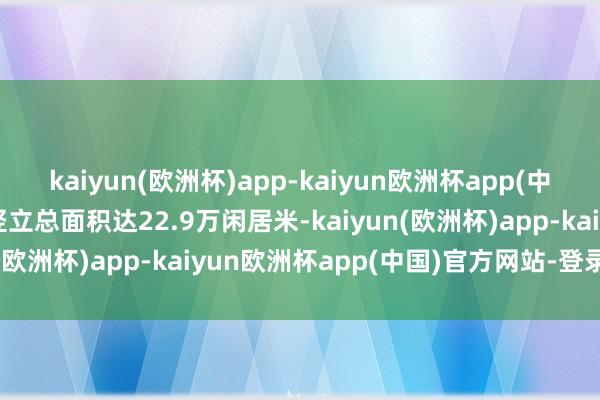 kaiyun(欧洲杯)app-kaiyun欧洲杯app(中国)官方网站-登录入口竖立总面积达22.9万闲居米-kaiyun(欧洲杯)app-kaiyun欧洲杯app(中国)官方网站-登录入口