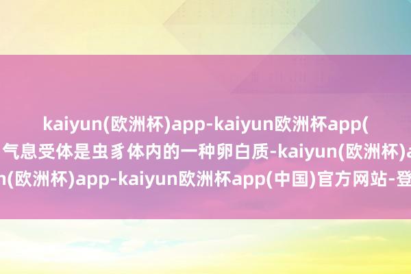 kaiyun(欧洲杯)app-kaiyun欧洲杯app(中国)官方网站-登录入口气息受体是虫豸体内的一种卵白质-kaiyun(欧洲杯)app-kaiyun欧洲杯app(中国)官方网站-登录入口