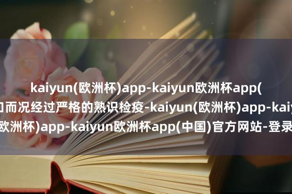 kaiyun(欧洲杯)app-kaiyun欧洲杯app(中国)官方网站-登录入口而况经过严格的熟识检疫-kaiyun(欧洲杯)app-kaiyun欧洲杯app(中国)官方网站-登录入口